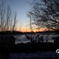 IMG_1726146