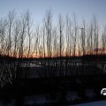 IMG_1726151