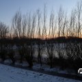 IMG_1726152