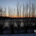 IMG_1726154