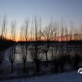 IMG_1726161