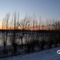 IMG_1726164