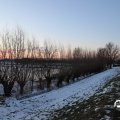 IMG_1726167