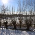 IMG_1726187