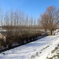 IMG_1726190