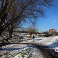 IMG_1726192