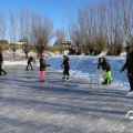 IMG_1726217
