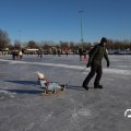 IMG_1726391