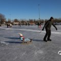 IMG_1726392