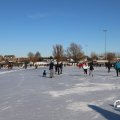 IMG_1726446