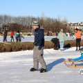 IMG_1726506