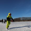 IMG_1726601