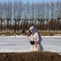 IMG_1726641