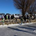 IMG_1726698