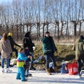 IMG_1726717