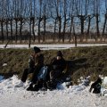 IMG_1726728