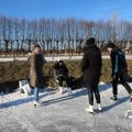 IMG_1726734