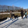 IMG_1726741