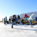 IMG_1726753