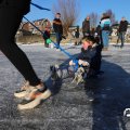 IMG_1726902