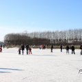 IMG_1726982