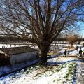 IMG_1727091