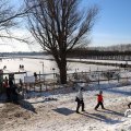 IMG_1727113