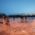 IMG_1727604