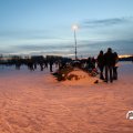 IMG_1727606