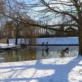 IMG_1726176