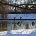 IMG_1726178