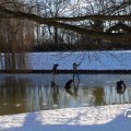 IMG_1726179