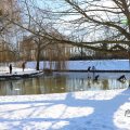 IMG_1726181