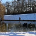 IMG_1726183