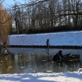 IMG_1726185