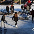 IMG_1727142