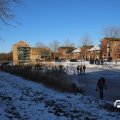 IMG_1727154
