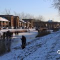 IMG_1727161