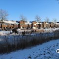 IMG_1727164