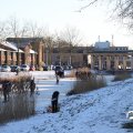 IMG_1727171