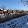 IMG_1727173