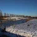 IMG_1727184