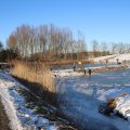 IMG_1727185