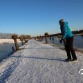 IMG_1727194