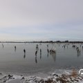 IMG_1727692