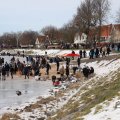 IMG_1727701