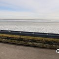 IMG_1727730