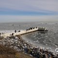 IMG_1727742