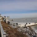 IMG_1727745