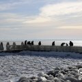 IMG_1727750